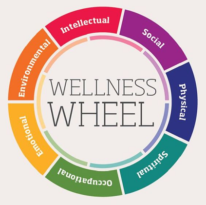 colored wellness wheel with 8 areas of overall wellness, including intellectual, social, physical, spiritual, occupational, emotional and environmental